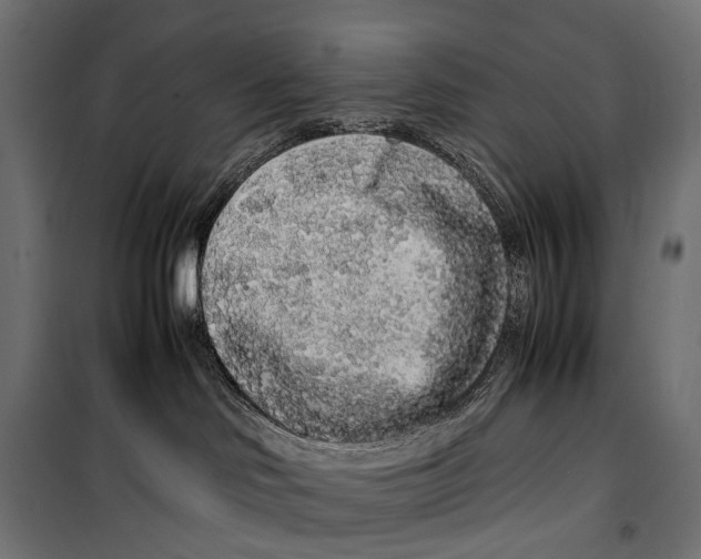 X0000099940046200806201131