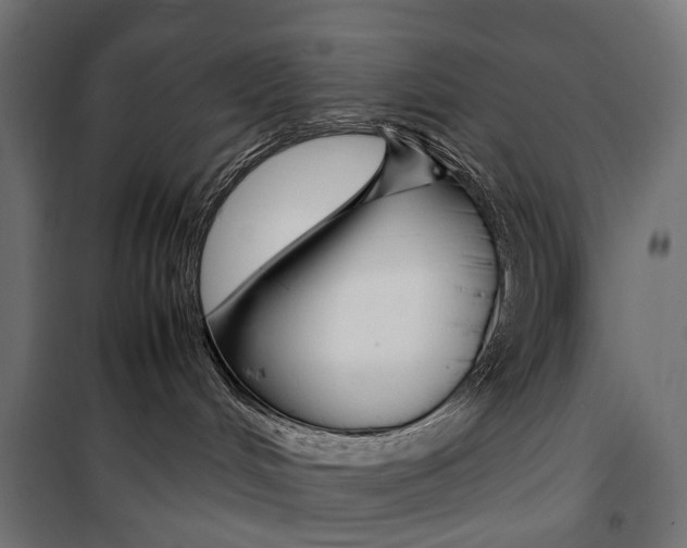 X0000099940048200806201131