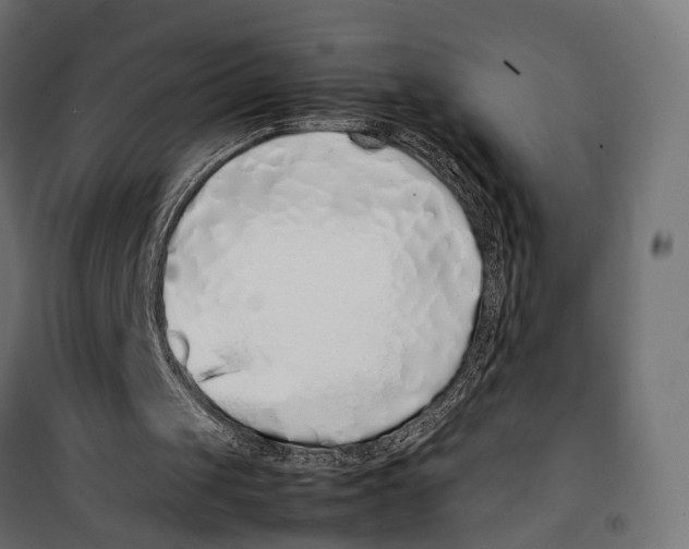 X0000099940049200806201130