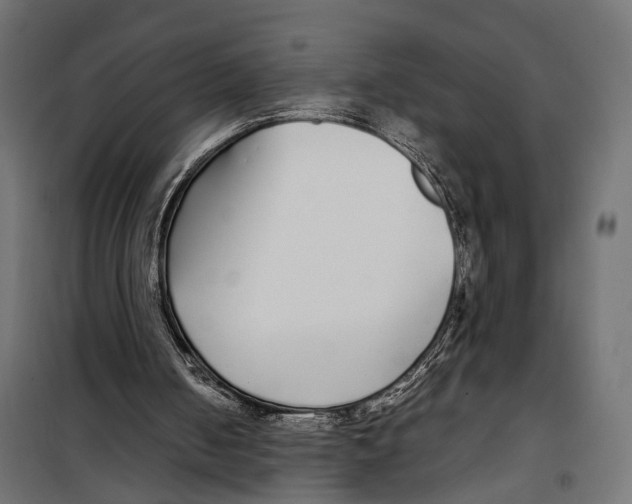 X0000099940050200806201130