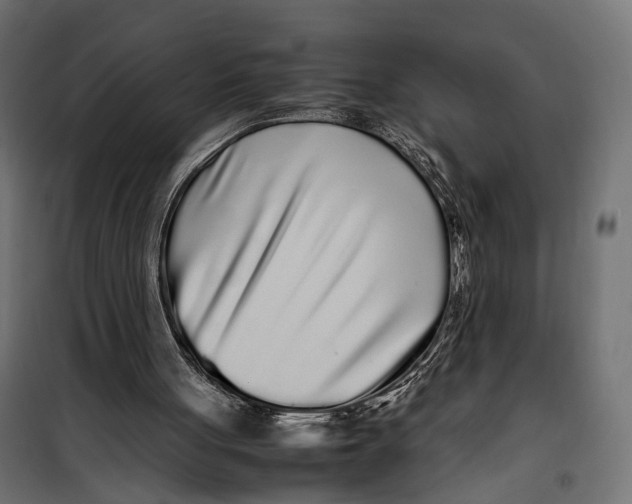 X0000099940051200806201130
