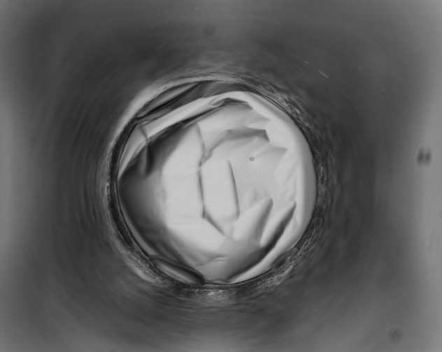 X0000099940056200806201130