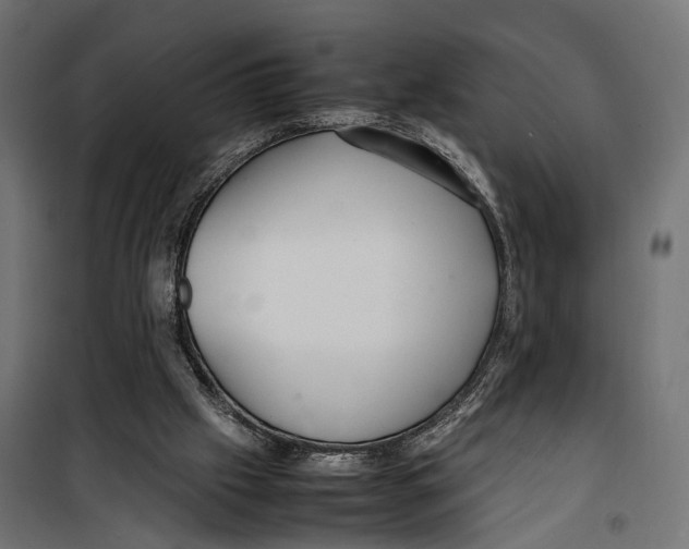 X0000099940057200806201130