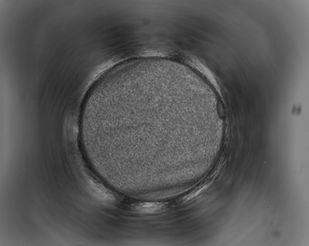 X0000099940059200806201130