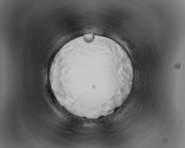 X0000099940061200806201130