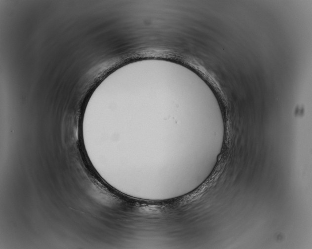 X0000099940062200806201130