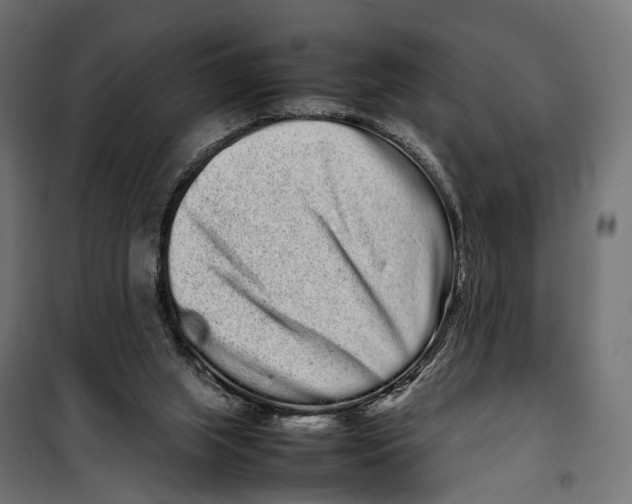 X0000099940063200806201130
