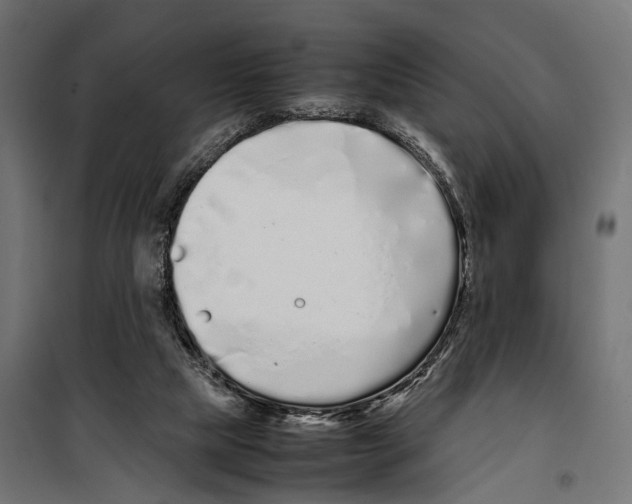 X0000099940065200806201130