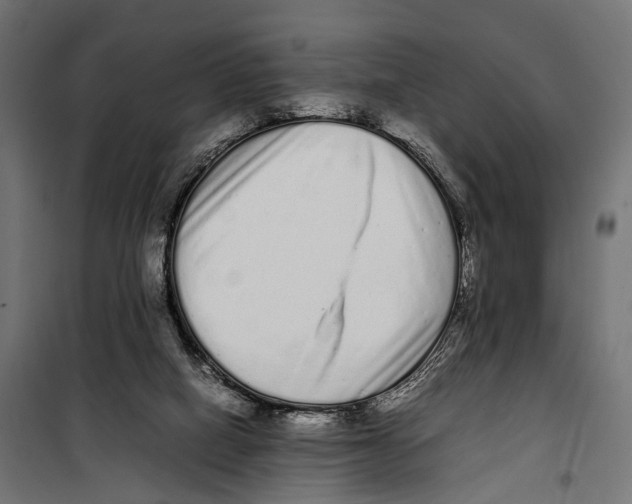 X0000099940066200806201130