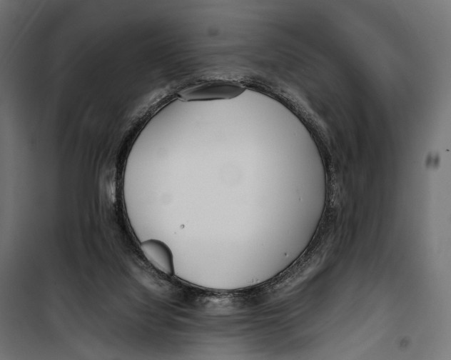 X0000099940068200806201130
