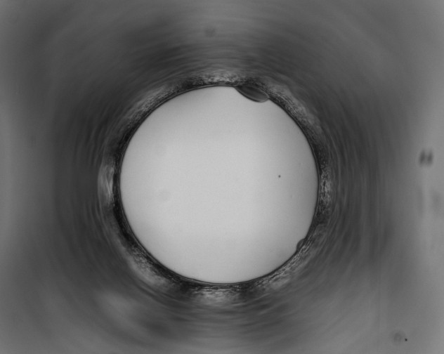 X0000099940070200806201130