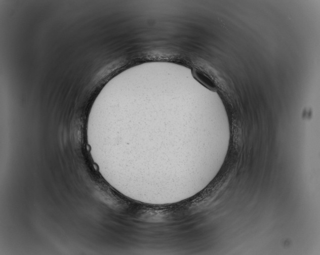 X0000099940071200806201130