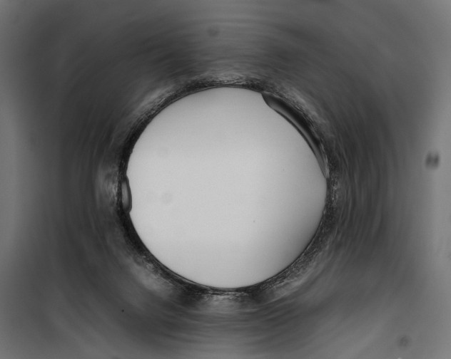 X0000099940072200806201130