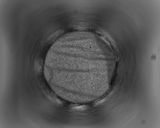 X0000099940073200806201130