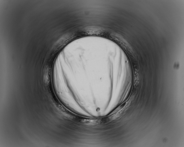 X0000099940074200806201130