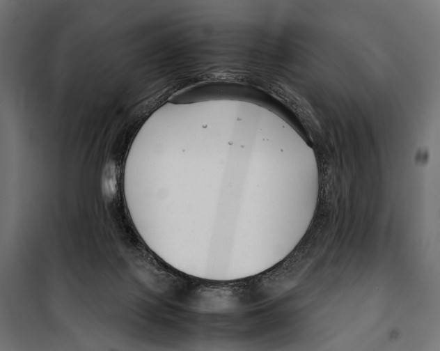 X0000099940075200806201130