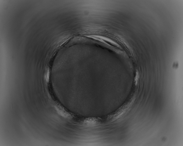X0000099940076200806201130