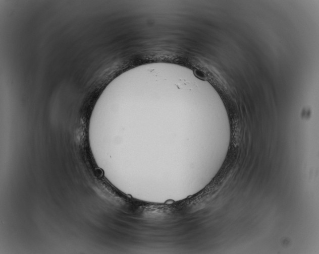 X0000099940077200806201130