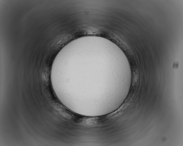 X0000099940078200806201130
