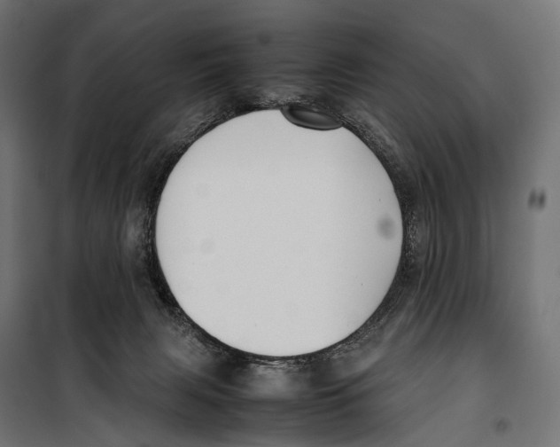 X0000099940079200806201130