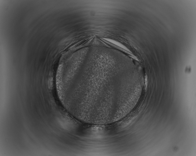 X0000099940080200806201130