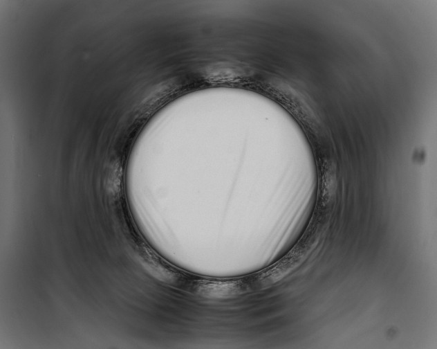 X0000099940081200806201130