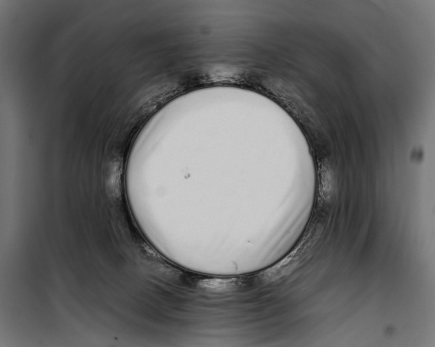X0000099940082200806201130