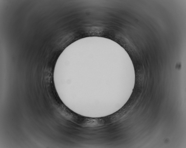 X0000099940083200806201130