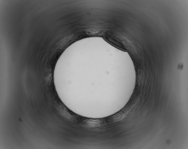 X0000099940085200806201131