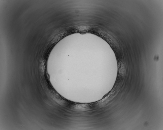 X0000099940086200806201131