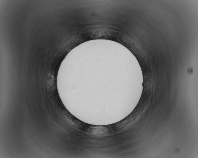X0000099940087200806201131