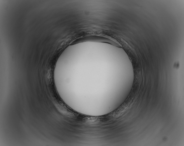 X0000099940088200806201131