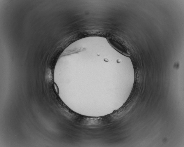X0000099940089200806201131