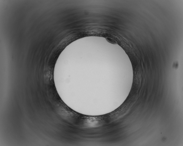 X0000099940091200806201131