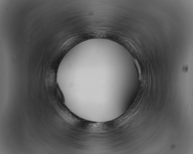 X0000099940092200806201131