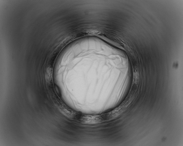 X0000099940093200806201131
