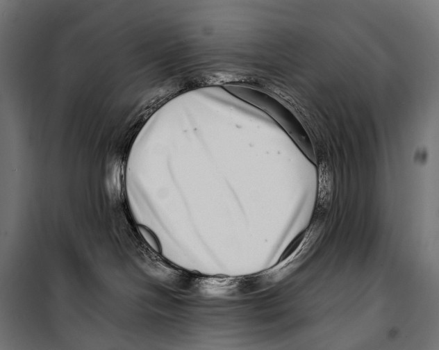 X0000099940094200806201131