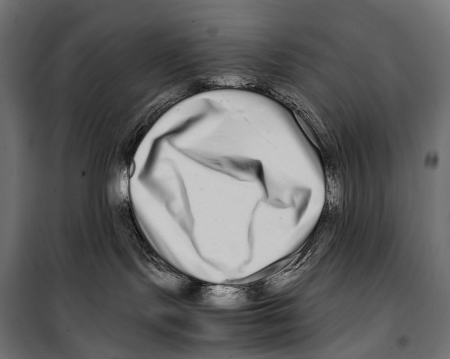 X0000099940095200806201131