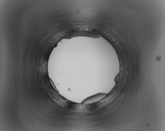 X0000099940096200806201131