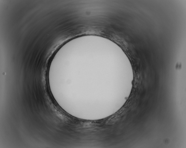 X0000099940098200806201130