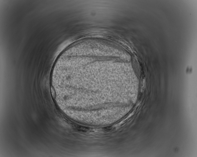 X0000099940099200806201130