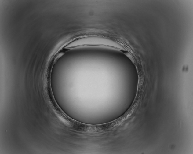 X0000099940101200806201130