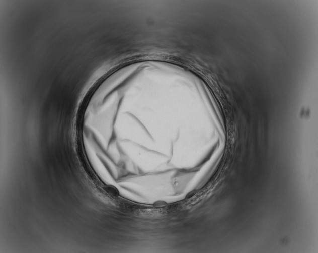 X0000099940102200806201130