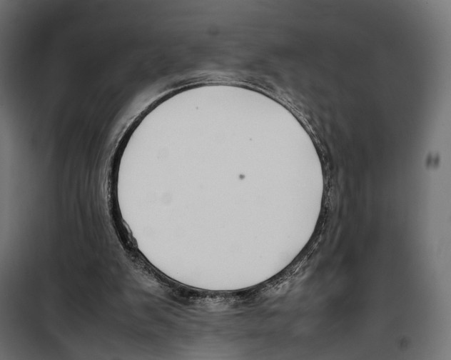 X0000099940103200806201130