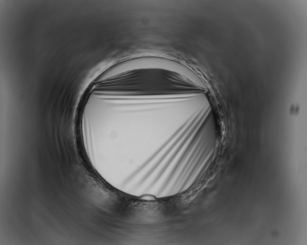 X0000099940104200806201130