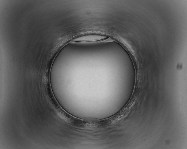 X0000099940105200806201130