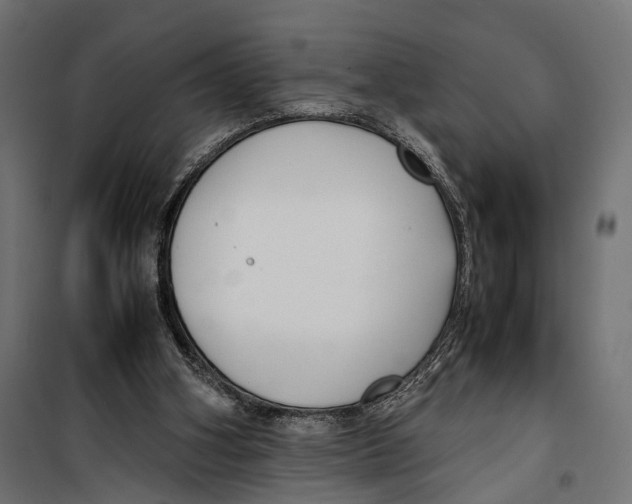 X0000099940106200806201130