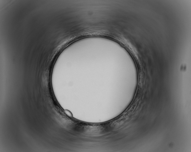 X0000099940107200806201130