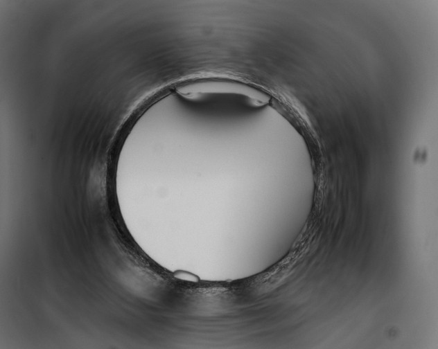 X0000099940108200806201130