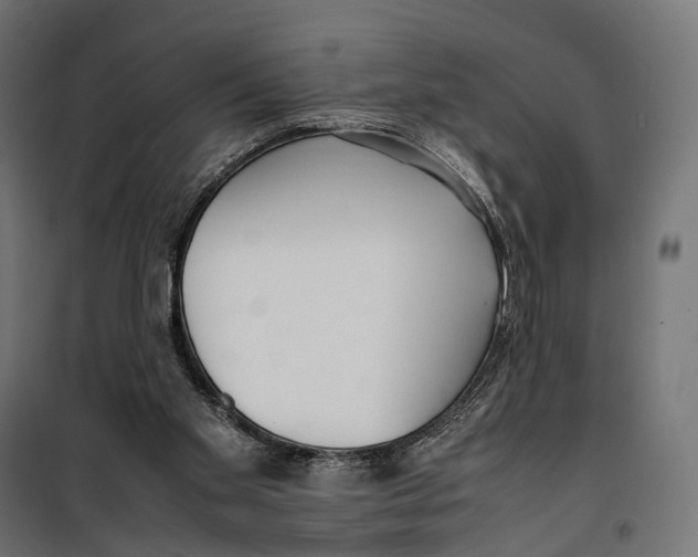 X0000099940109200806201130